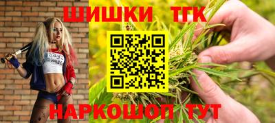 гидра Беслан