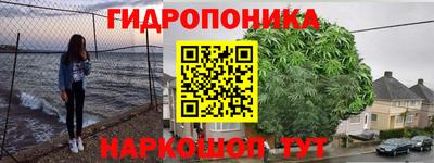 кокс Бийск