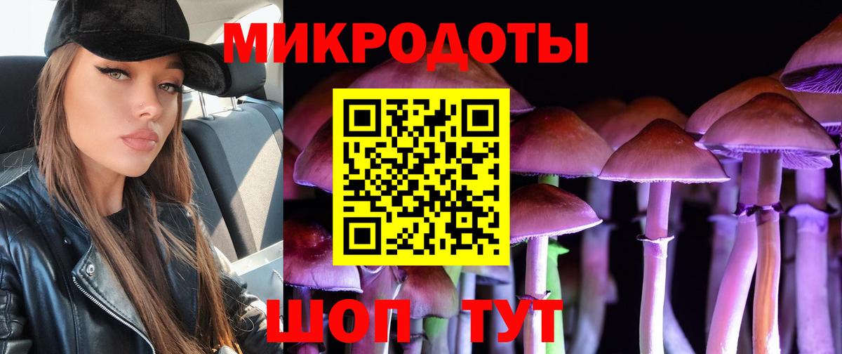 Вышний Волочёк  Галлюциногенные грибы Psilocybe  Вход с VPN 
